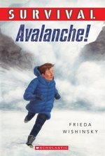 Book cover of SURVIVAL AVALANCHE