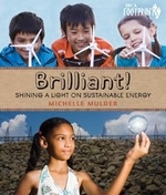 Book cover of BRILLIANT - SHINING A LIGHT ON SUSTAINAB