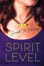 Book cover of SPIRIT LEVEL