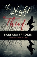 Book cover of NIGHT THIEF