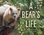 Book cover of BEAR'S LIFE