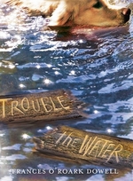 Book cover of TROUBLE THE WATER