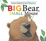 Book cover of BIG BEAR SMALL MOUSE