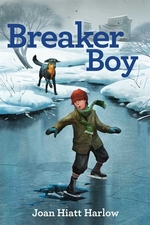 Book cover of BREAKER BOY