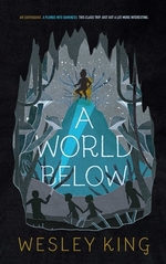 Book cover of WORLD BELOW