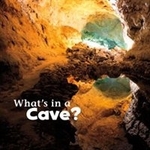 Book cover of WHAT'S IN A CAVE