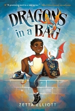 Book cover of DRAGONS IN A BAG