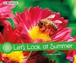 Book cover of LET'S LOOK AT SUMMER