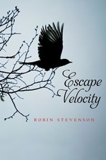 Book cover of ESCAPE VELOCITY