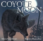 Book cover of COYOTE MOON