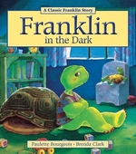 Book cover of FRANKLIN IN THE DARK