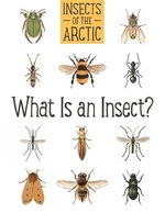 Book cover of INSECTS OF THE ARCTIC- WHAT IS AN INSECT