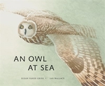 Book cover of OWL AT SEA