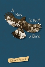 Book cover of BOY IS NOT A BIRD