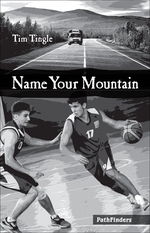 Book cover of NAME YOUR MOUNTAIN