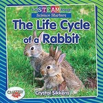 Book cover of LIFE CYCLE OF A RABBIT