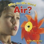 Book cover of WHY DO WE NEED AIR
