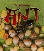 Book cover of LIFE CYCLE OF AN ANT