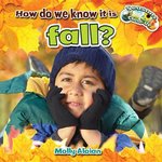 Book cover of HOW DO WE KNOW IT IS FALL