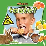 Book cover of WHAT IS TASTE