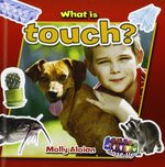 Book cover of WHAT IS TOUCH