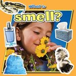 Book cover of WHAT IS SMELL