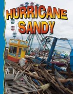 Book cover of SUPERSTORM SANDY