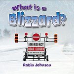 Book cover of WHAT IS A BLIZZARD