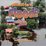 Book cover of WHAT IS A FLOOD
