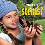 Book cover of WHAT ARE STEMS
