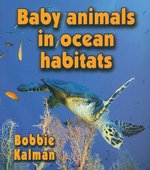 Book cover of BABY ANIMALS IN OCEAN HABITATS