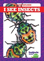 Book cover of I SEE INSECTS - OUTDOOR EXPLORERS