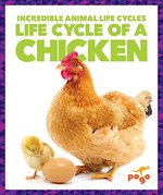 Book cover of LIFE CYCLE OF A CHICKEN