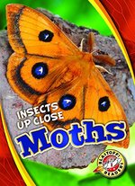 Book cover of MOTHS
