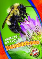 Book cover of BUMBLEBEES