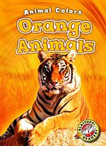 Book cover of ORANGE ANIMALS
