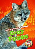 Book cover of GRAY FOXES