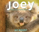Book cover of JOEY A BABY KOALA & HIS MOTHER