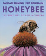 Book cover of HONEYBEE