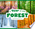 Book cover of YEAR IN THE FOREST