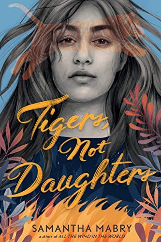 Book cover of TIGERS NOT DAUGHTERS