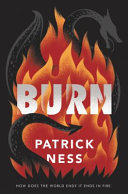 Book cover of BURN
