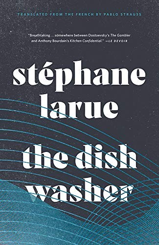 Book cover of DISH WASHER