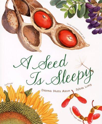Book cover of SEED IS SLEEPY