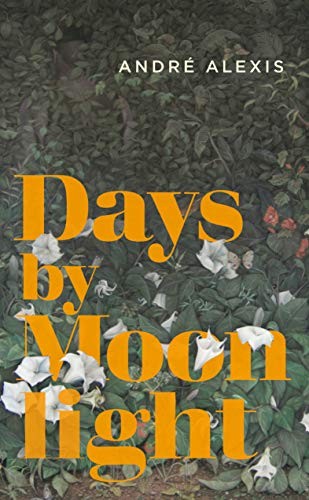 Book cover of DAYS BY MOONLIGHT