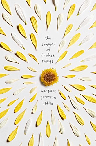 Book cover of SUMMER OF BROKEN THINGS