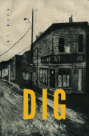 Book cover of DIG