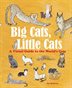 Book cover of BIG CATS LITTLE CATS