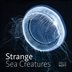 Book cover of STRANGE SEA CREATURES