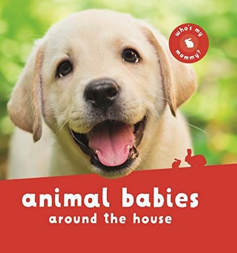 Book cover of ANIMAL BABIES AROUND THE HOUSE